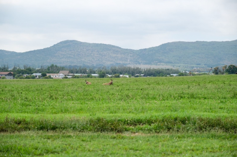 0 Bedroom Property for Sale in The Coves North West